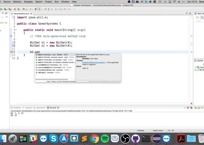 Exploring the Versatility of BitSet in Java Programming